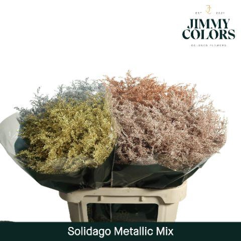 <h4>Solidago L70 Metallic Mix</h4>
