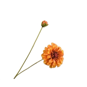 zinnia tak geel rt 62cm