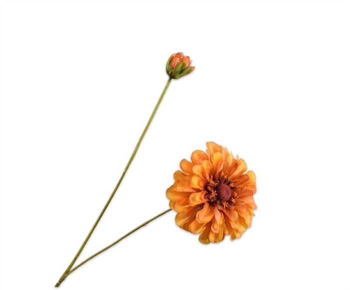 <h4>zinnia tak geel rt 62cm</h4>