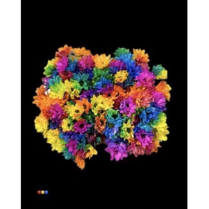Chr T Chic Rainbow