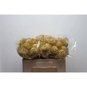 LEUCO NAOMI GEFAE GOLD