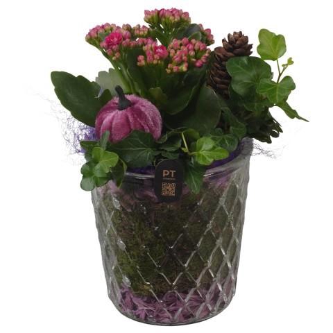 <h4>PTHG8283 Arrangement Autumn Glass in glazen vaas</h4>