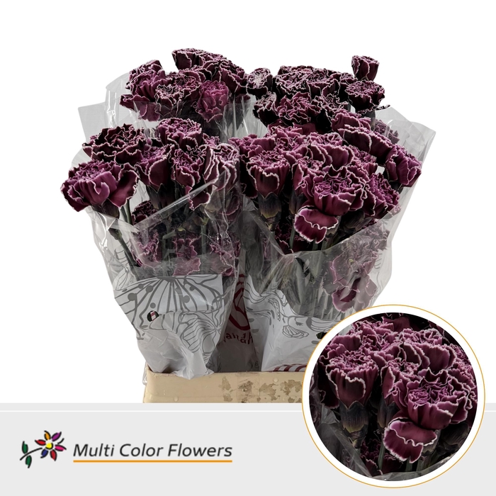 <h4>DI St Dark Cherry</h4>