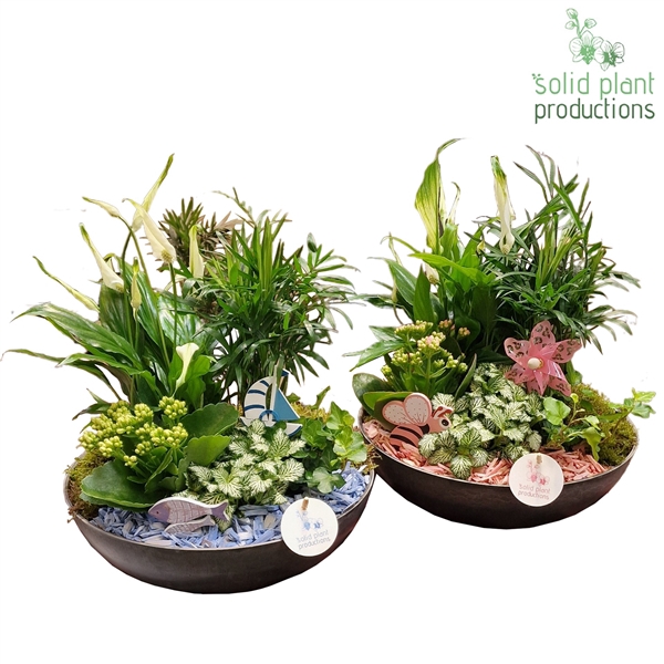 <h4>SC011 Artstone Summer Mix</h4>