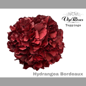 HYDR M BORDEAUX 80cm