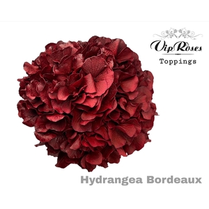 HYDR M BORDEAUX 60cm