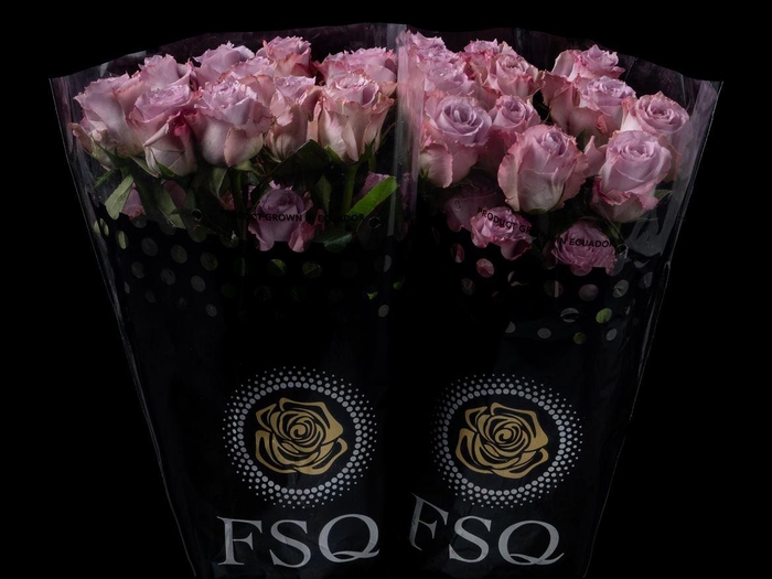 <h4>R GR Cooldown</h4>