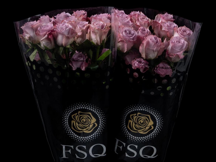 <h4>R GR Cooldown</h4>