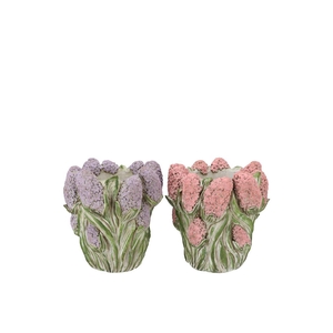 Dante Pink Lilac Pot Hyacinth Ass 17x17x16cm