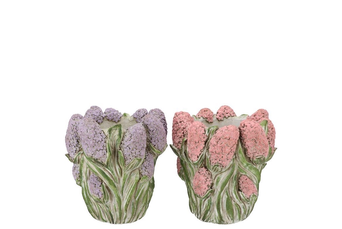 <h4>Dante Pink Lilac Pot Hyacinth Ass 17x17x16cm</h4>