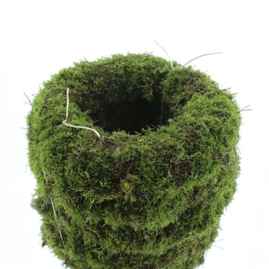 Wreath Moss 35cm