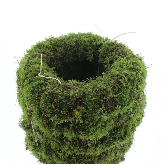 <h4>Wreath Moss 35cm</h4>