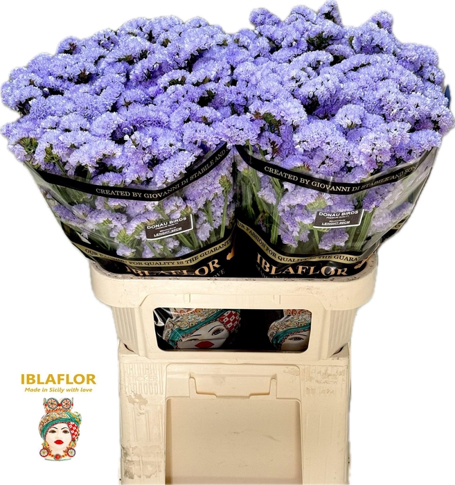 <h4>Lim S Donau Birds</h4>