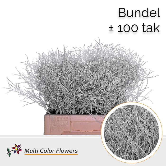 <h4>Heidelbeer (Bundel) Wit</h4>