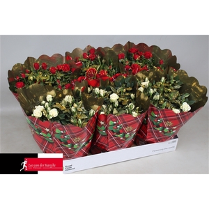 Rosa Kordana schaal kersthoes+glitter 3 wit 3 rood