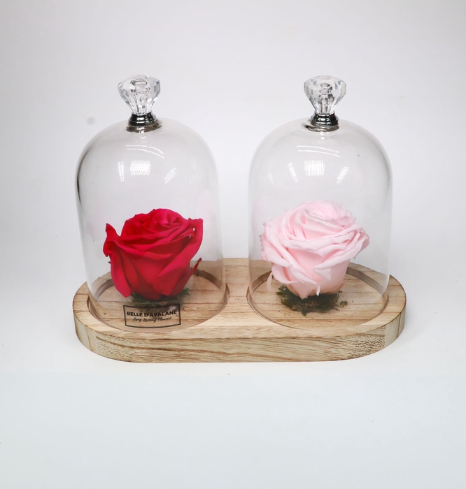 Stolp duo knop rd-rz glas