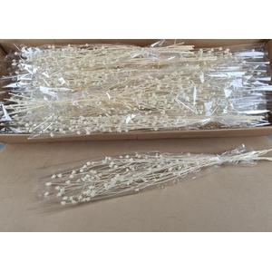 Df Cent Wild Bs Blea 70gr Poly