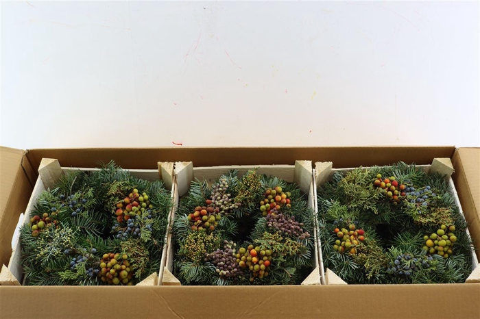 Wr Sierfruit Christmas 30cm Extra (melli)