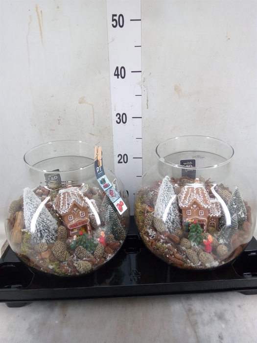 <h4>Decoratieve materialen   ...H%</h4>