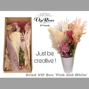 DRIED VIP BOX PINK & WHITE