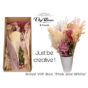 Vip Dried Vip Box Pink & White