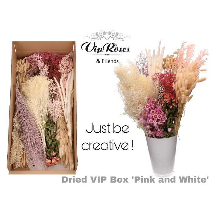 <h4>Vip Dried Vip Box Pink & White</h4>