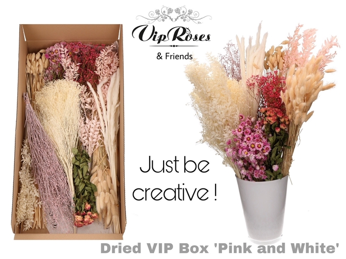 <h4>DRIED VIP BOX PINK & WHITE</h4>