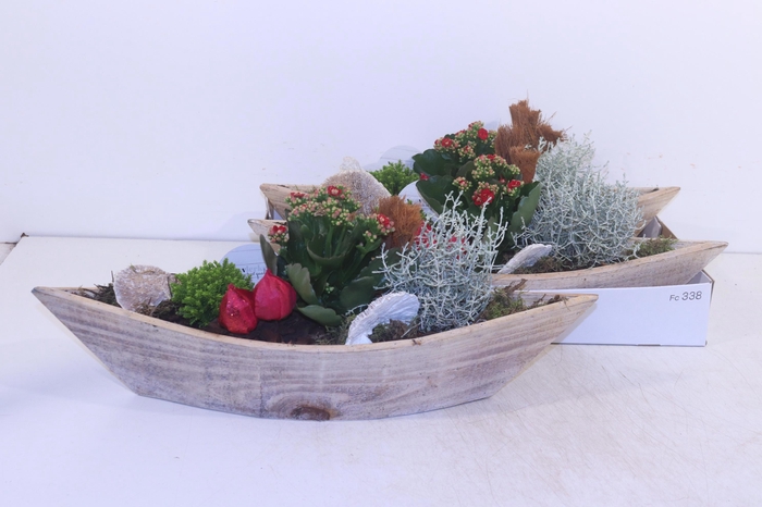 <h4>ARR TUINPLANTEN</h4>