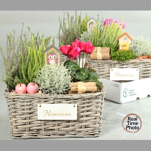 ARR TUINPLANTEN