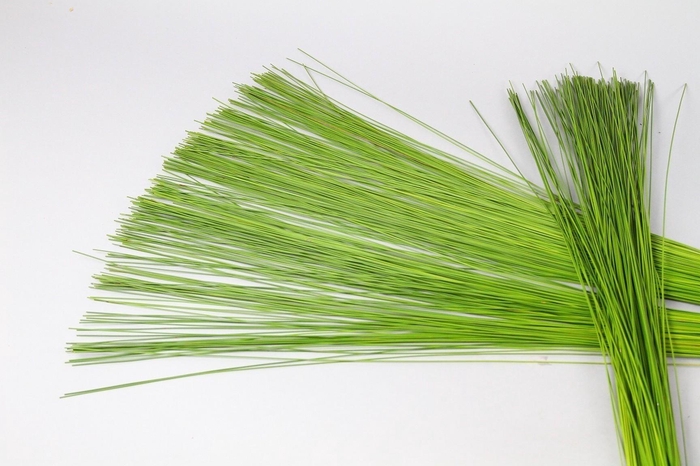 <h4>Flexigrass</h4>