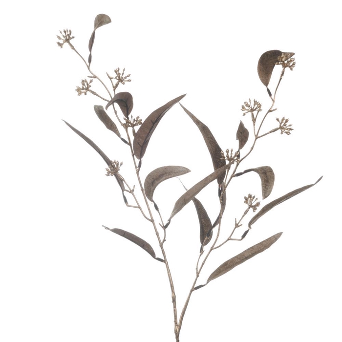 <h4>AF Euca Spray L81cm Taupe</h4>