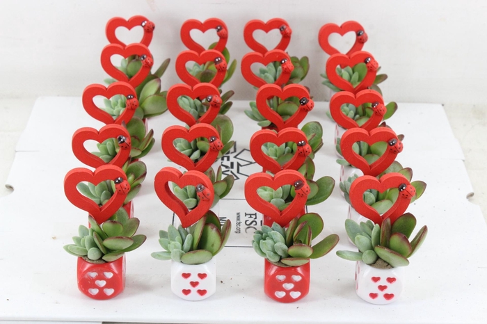 <h4>arr3 AD - Dobbelsteentje hart</h4>