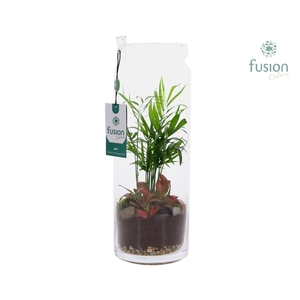 Glazen vaas met Arrangement