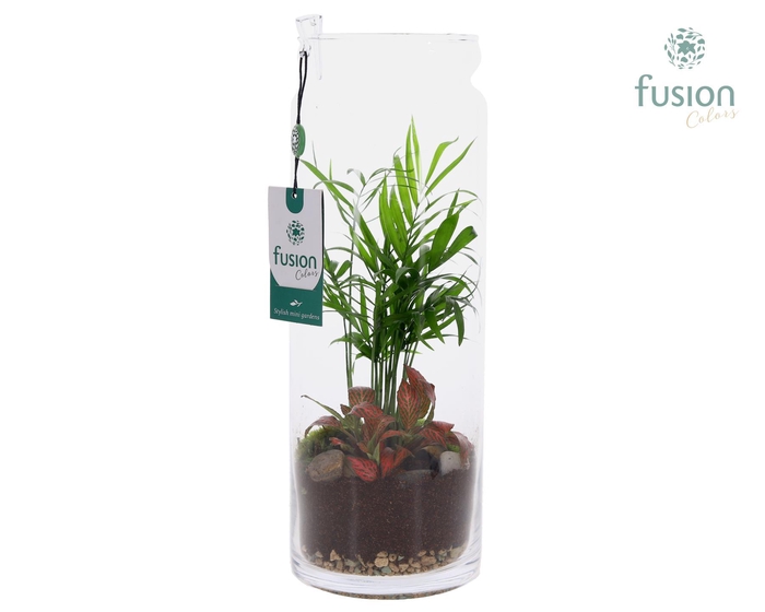 <h4>Glazen vaas met Arrangement</h4>