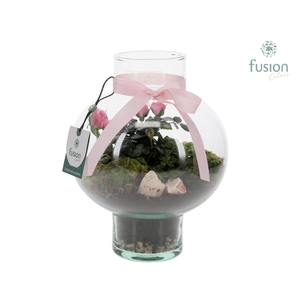 Green BottleLaura Small met Moederdag arrangement