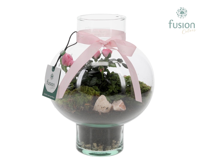 <h4>Green BottleLaura Small met Moederdag arrangement</h4>