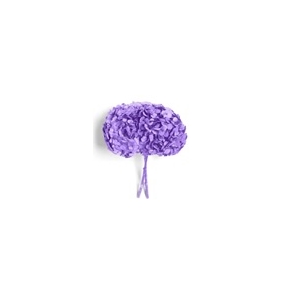 Hydrangea bright lilac