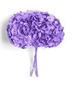 <h4>Hydrangea bright lilac</h4>
