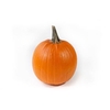 Sier Cuc P Maxima Halloween X1
