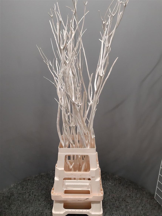 <h4>Mitsumata Naturel</h4>