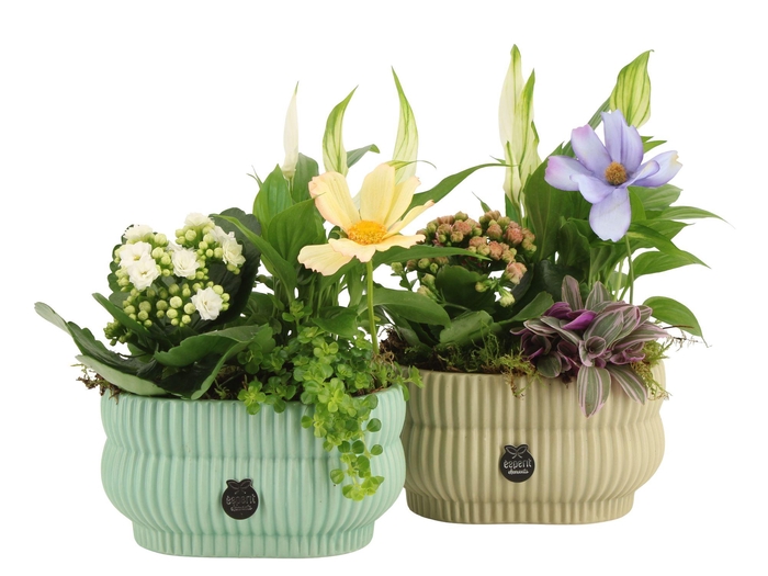 <h4>11567: Consideration arrangement</h4>