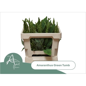 AMAR GREEN THUMB
