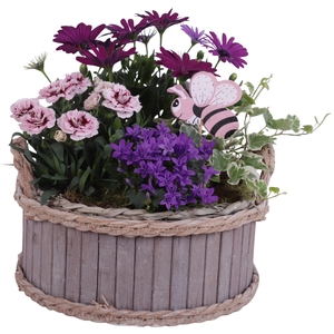 Spring Flower Arr. Outdoor Wooden Pot Waterhyacinth Rim Ø25cm4PP