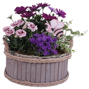 Spring Flower Arr. Outdoor Wooden Pot Waterhyacinth Rim Ø25cm4PP