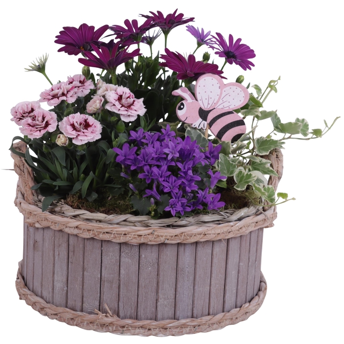 <h4>Spring Flower Arr. Outdoor Wooden Pot Waterhyacinth Rim Ø25cm4PP</h4>