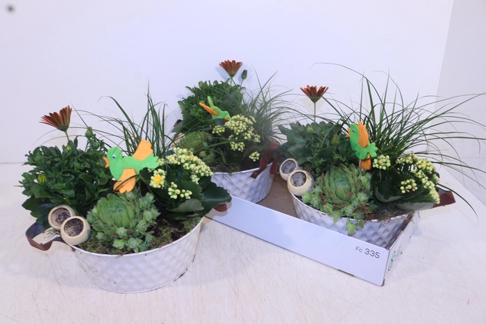 <h4>ARR TUINPLANTEN</h4>