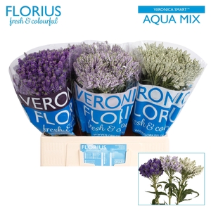 VERON SMART AQUA GEM