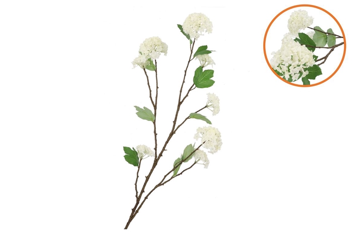 <h4>Silk Viburnum White 117cm</h4>