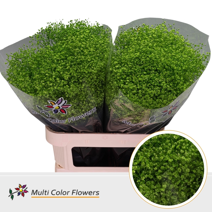 <h4>Gyps Fijn Groen Appel</h4>