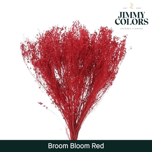 Broom Bloom Red